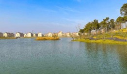 安徽公园爆料视频大全集,揭秘公园里的那些事儿